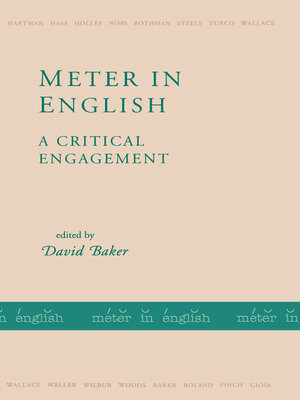 cover image of Meter in English